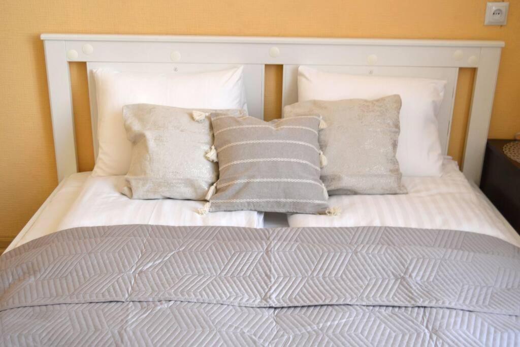 Spacious Old Town Family Peachy 2 Bedrooms Apartment, Nearby The Riga Presidential Castle エクステリア 写真