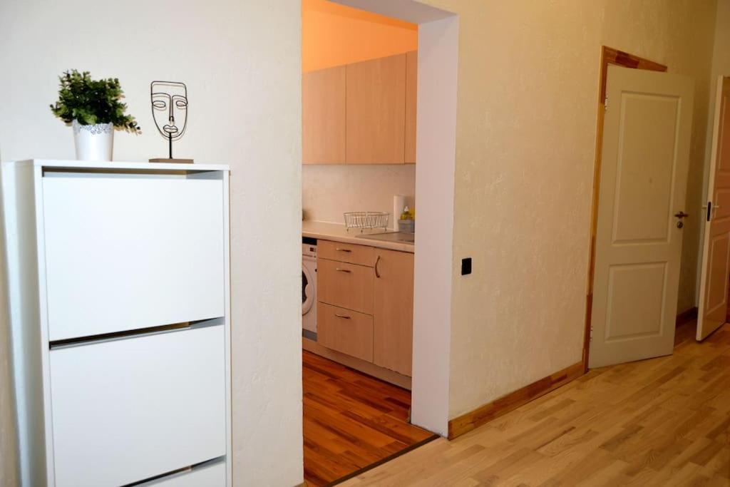 Spacious Old Town Family Peachy 2 Bedrooms Apartment, Nearby The Riga Presidential Castle エクステリア 写真